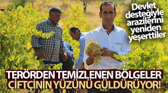 bingol-de-terorden-temizlenen-bolgeler-ciftcinin-yuzunu-gulduruyor.jpg