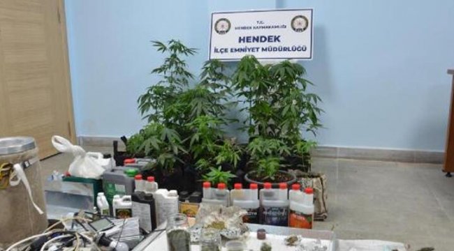 evinde-kurdugu-serada-gdo-lu-kenevir-yetistiriyordu.jpg