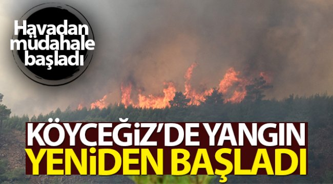 koycegiz-deki-yangin-yeniden-basladi.jpg