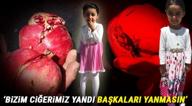 minik-saliha-nin-olum-nedeni-kesinlesti-nar-katili-oldu.jpg