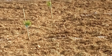 1738339107_photo.jpeg