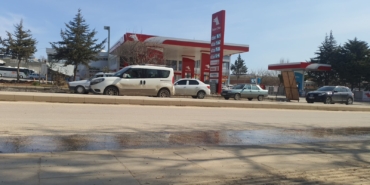 1738397669_photo.jpeg
