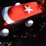 1747208992_1200x628.jpeg