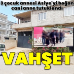 1748715109_1200x628.jpeg
