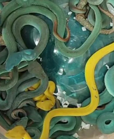 1748861763_1200x628.jpeg