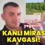 1749804700_1200x628.jpeg