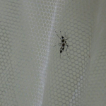 1749925864_1200x628.jpeg
