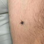 1750434605_1200x628.jpeg