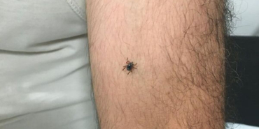1750434605_1200x628.jpeg