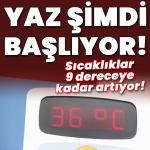 1750598964_1200x628.jpeg