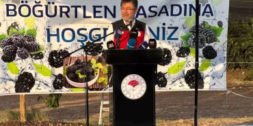 bakan-yumakli-siirt-te-bogurtlen-hasadina-kat-18743063_amp.jpg
